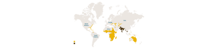 Distribution