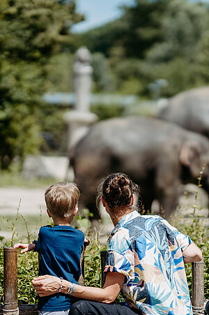 Besucher und Besucherinnen vor Elefantenanlage im Tierpark Hellabrunn
