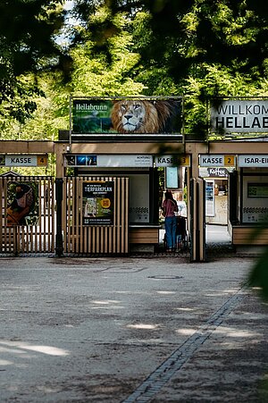 Der Isareingang durch Zweige hindurch fotografiert. 