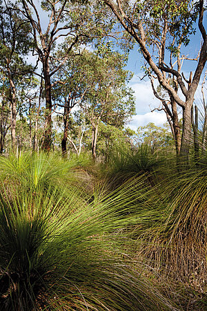 Geozone Australien