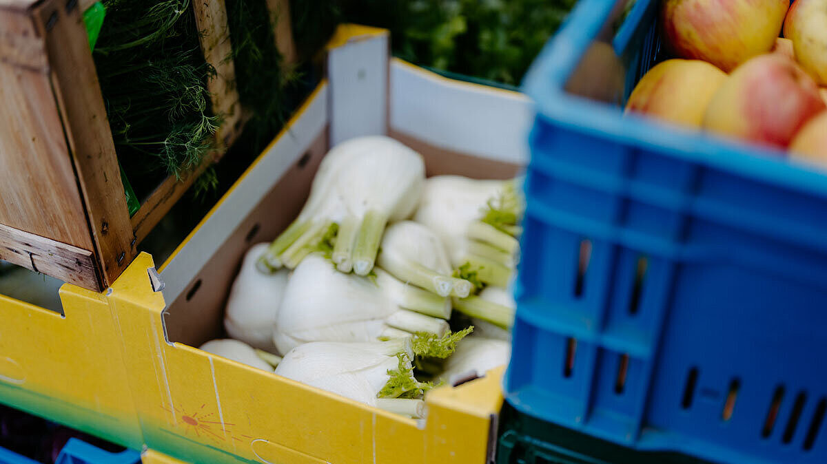 Kisten mit verschiedenem Obst und Gemüse