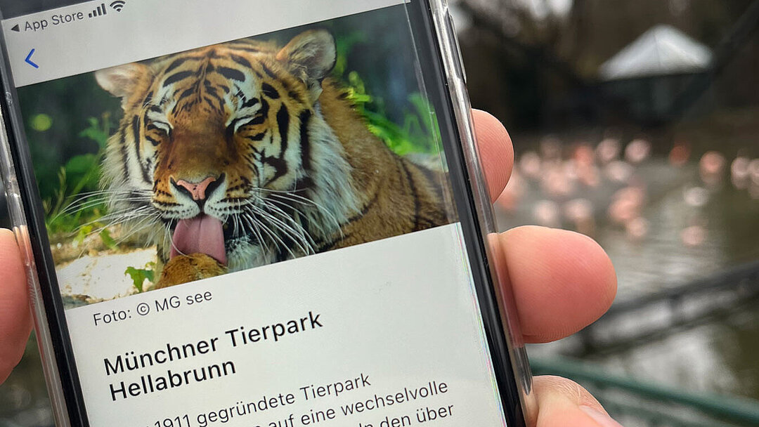 Die München App zum Ticketverkauf des Tierparks, geöffnet auf einem Smartphone-Bildschirm