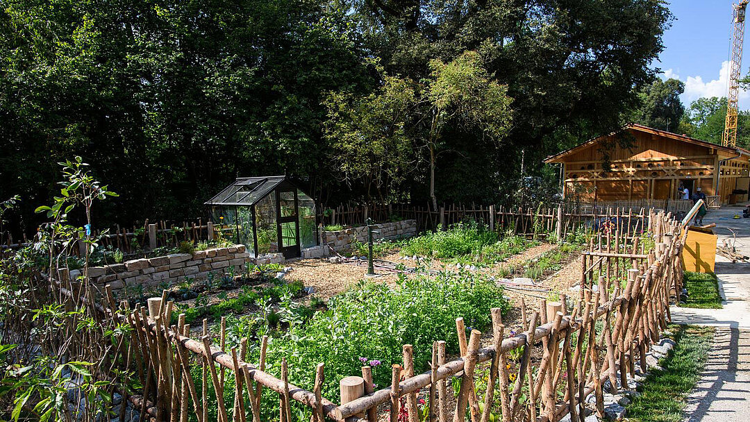 [Translate to English:] Der Bauerngarten im Mühlendorf im Sommer.