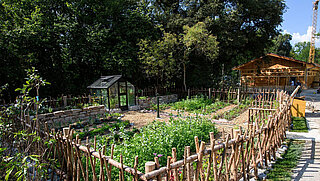 [Translate to English:] Der Bauerngarten im Mühlendorf im Sommer.