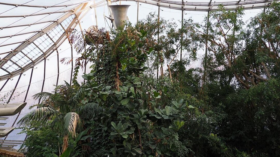 Blick auf die Baustelle der Hellabrunner Dschungelwelt