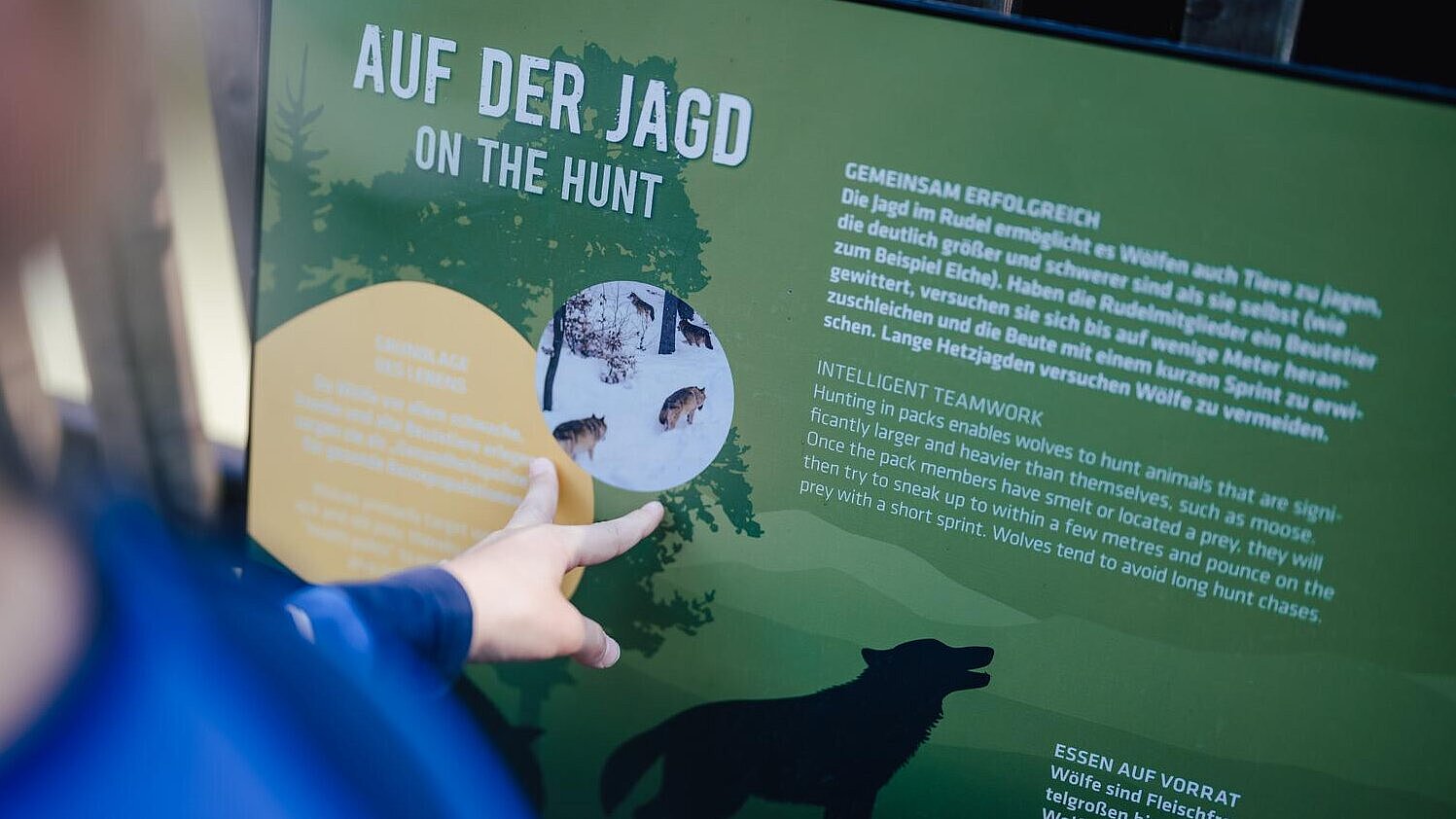 Kind an Lernstation im Tierpark Hellabrunn