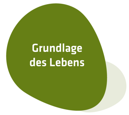 Das grüne Keyvisual "Grundlage des Lebens."