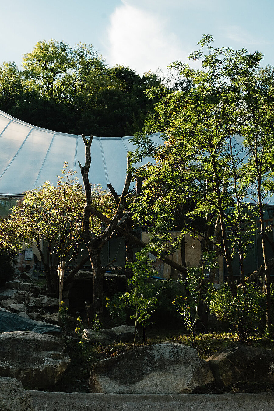 Zeltdach Dschungelwelt Baustelle