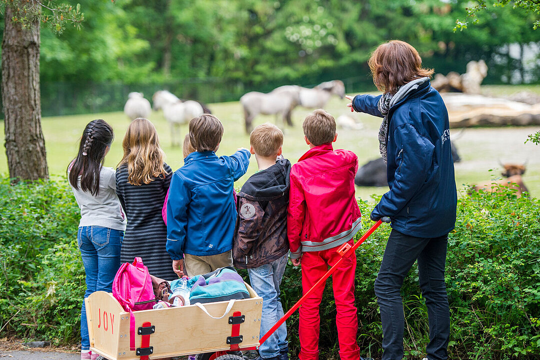 Mehrere Kinder mit einem Zoo-Guide vor der Tieranlage.