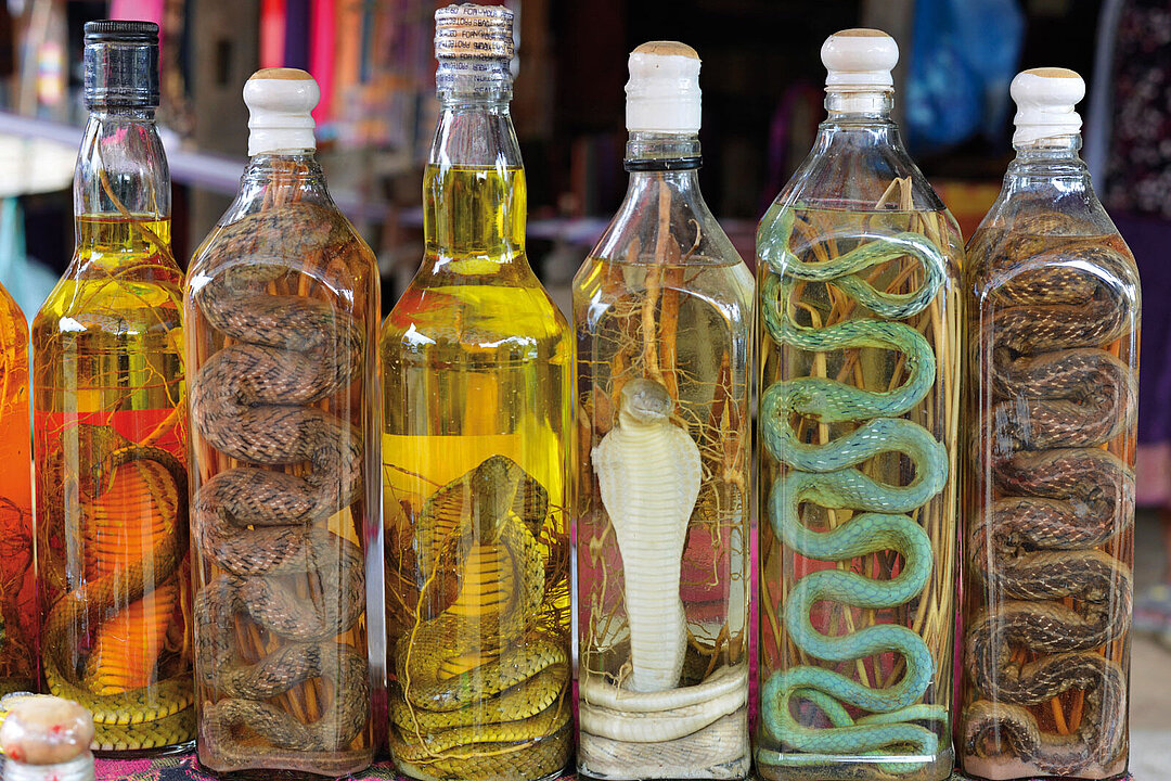 Verschiedene Flaschen, in denen Schlangen illegal zum Verkauf konserviert wurden.