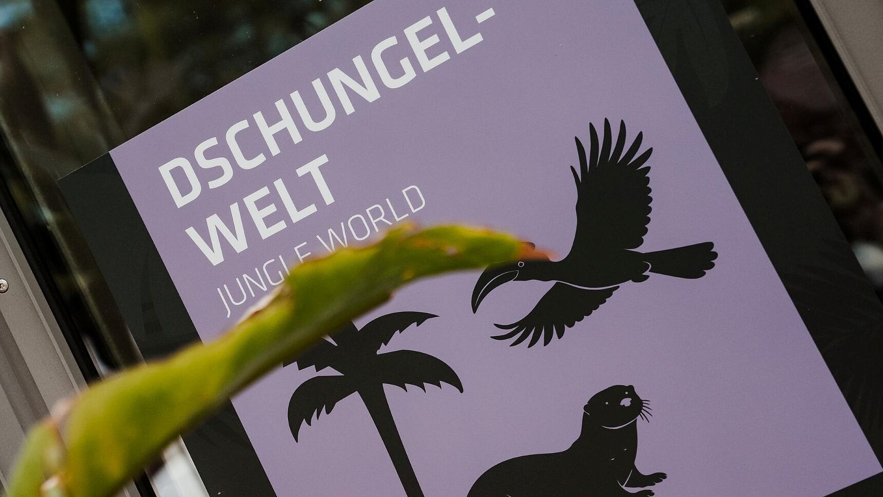 Tür zur wiedereröffneten Dschungelwelt im Tierpark Hellabrunn 