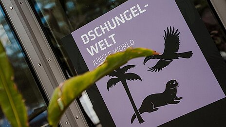 Tür zur wiedereröffneten Dschungelwelt im Tierpark Hellabrunn