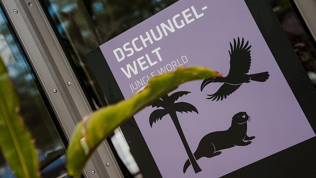 Tür zur wiedereröffneten Dschungelwelt im Tierpark Hellabrunn