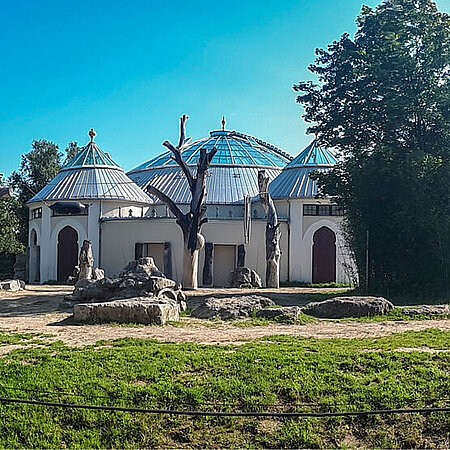 Ein Landschaftsbild zeigt im Hintergrund das Elefantenhaus.