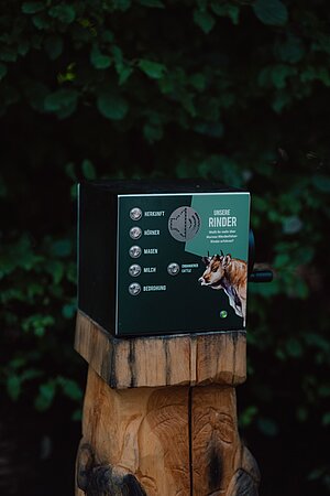Ein dunkelgrüner Würfel steht auf einem Holzstamm. Der Wüfel ist eine Audiostation mit fünf Knöpfen.