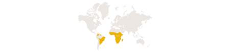 Distribution