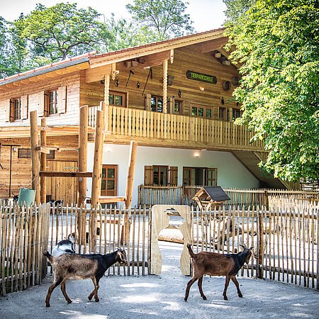 Das Gebäude der Tierparkschule ist mit Holz verkleidet und liegt neben der Anlage der Ziegen.