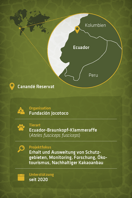 Steckbrief zu dem Artenschutzprojekt "Jocotoco"