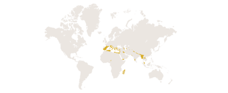 Die Verbreitungskarte der Etruskerspitzmaus.