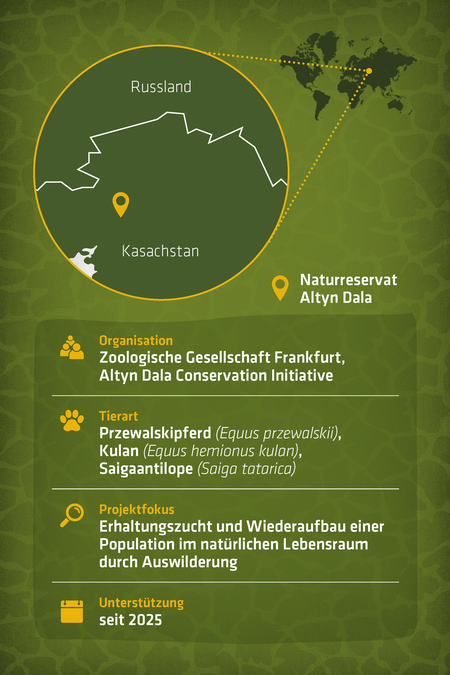 Steckbrief zum Artenschutzprojekt