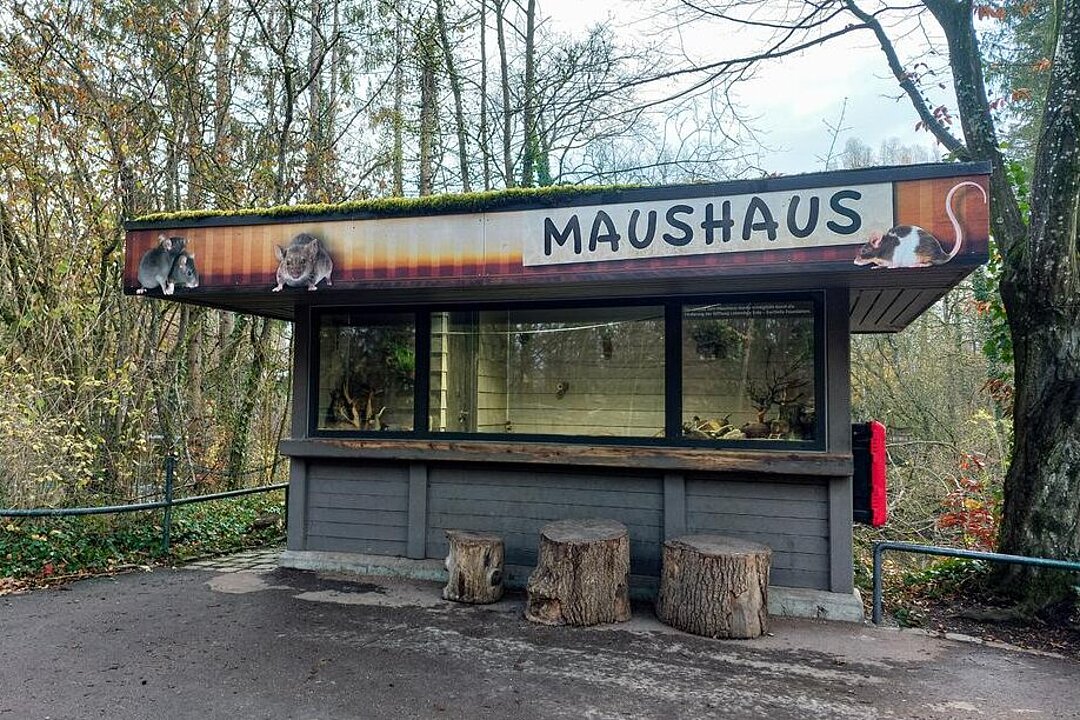 Das Maushaus von Vorne.