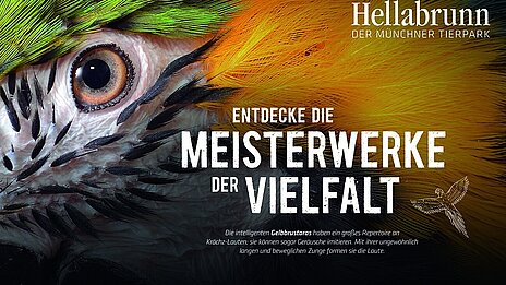 bild imagekampagne hellabrunn ara