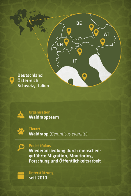 Steckbrief zu dem Artenschutzprojekt "Waldrappteam"