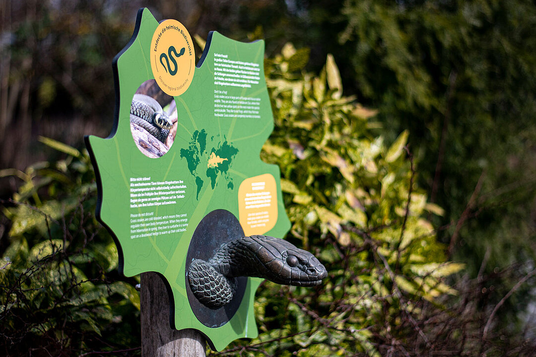 Das Schild zu den Ringelnattern ist mit dem bronzenen Schlangenkopf was zum Anfassen.