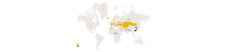 Distribution