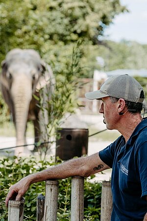 Vorne Rechts steht ein Tierpfleger mit dunkelblauben Shirt und Mikrofon und gucjt nach links. Im Hintergrund ist ein asiatischer Elefant zu erkennen.
