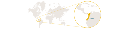 Distribution spider monkey