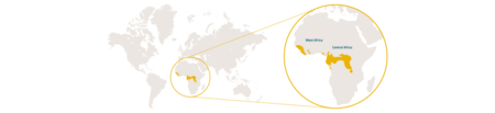 Distribution Chimpanzee