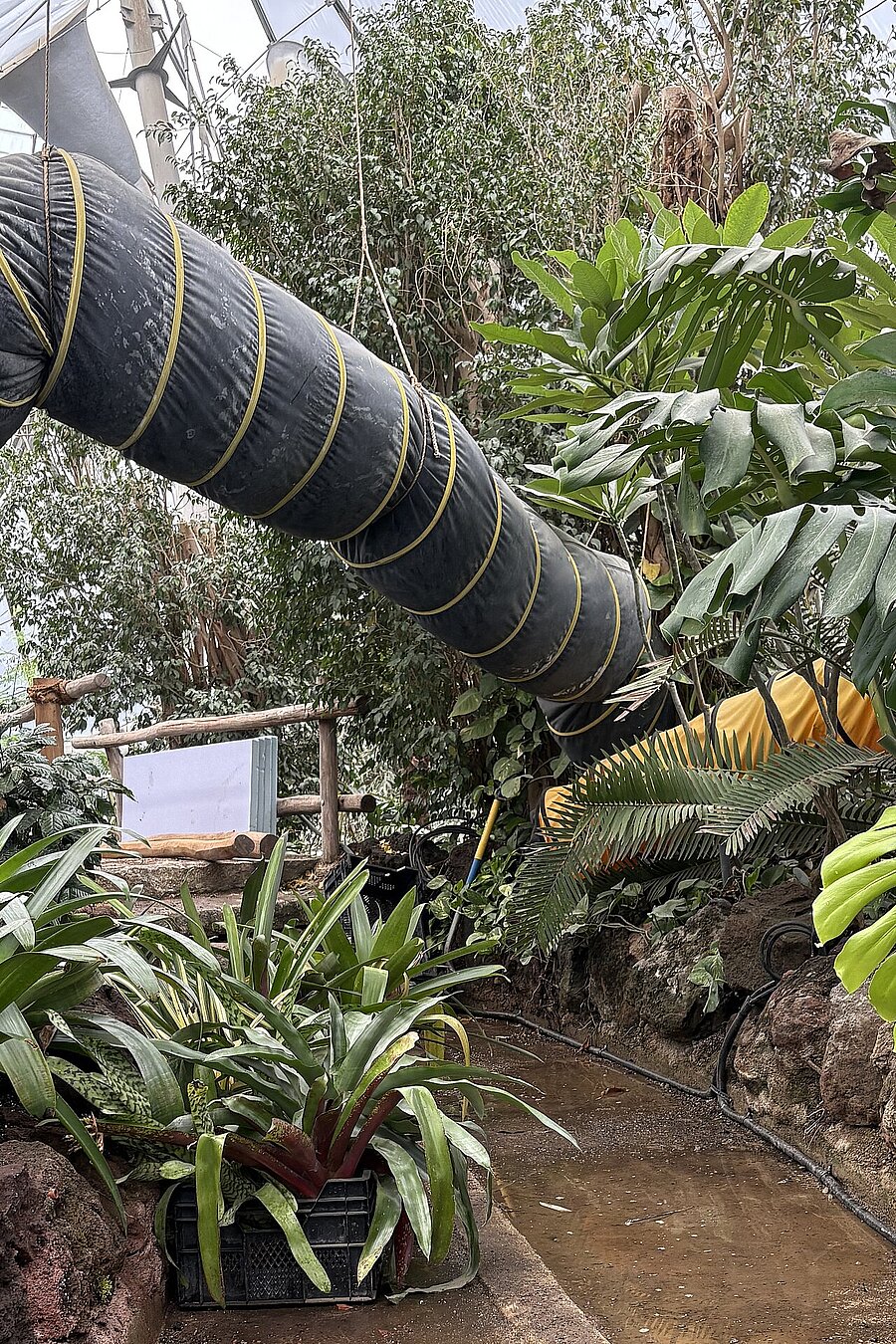 Baustelle mit Belüftungsrohr und Pflanzen