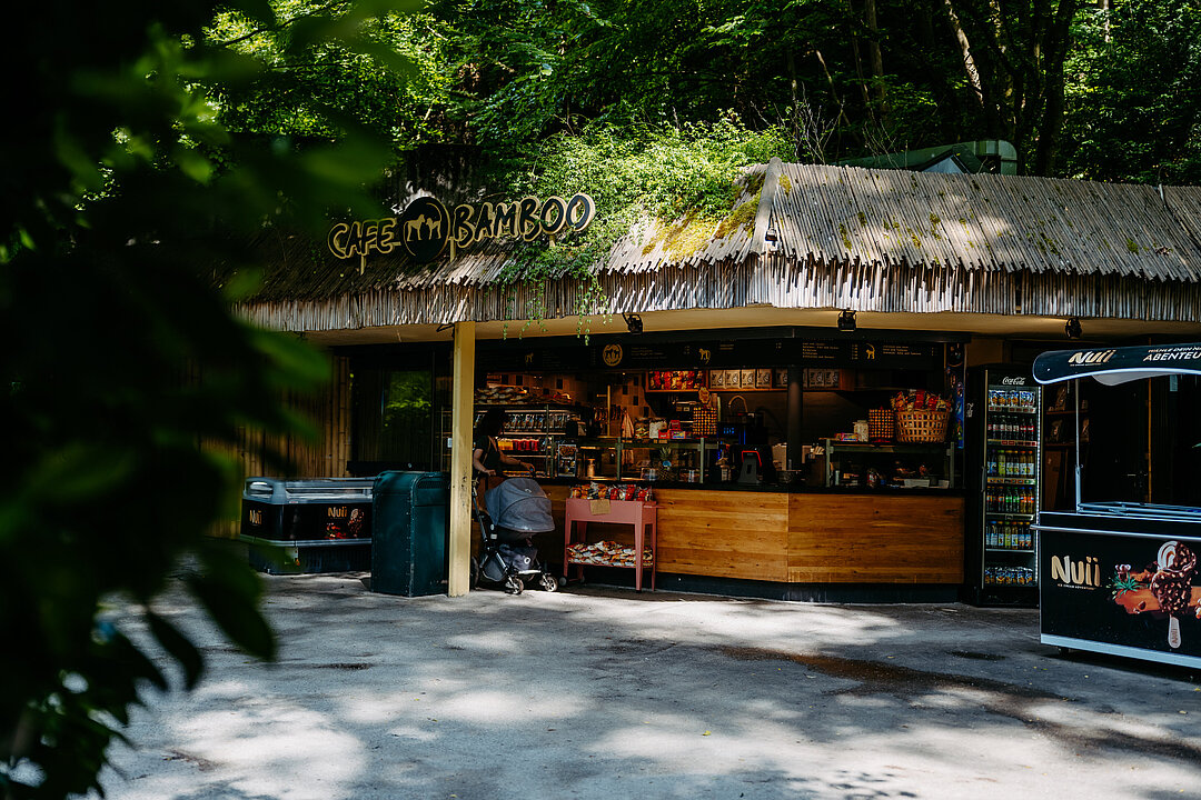 Cafe Bamboo