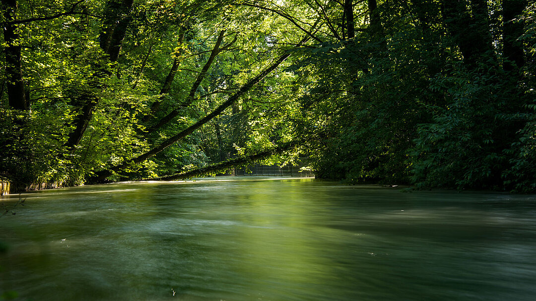 Die Isarauen im Tierpark Hellaburnn.