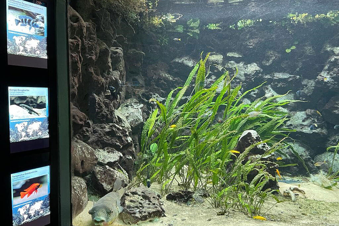Großes Aquariumbecken mit Beschilderung an der linken Seite.