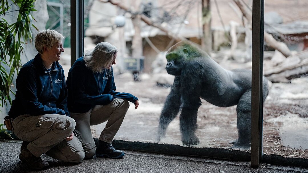 Hellabrunner Tierärzte Dr. Gohl und Dr. Lücht im Urwaldhaus