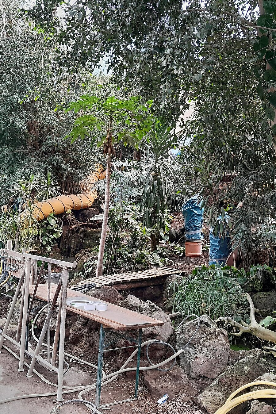 Baustelle Dschungelwelt 