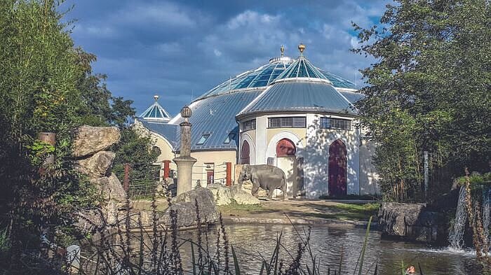 Blick aufs Elefantenhaus im Tierpark Hellabrunn
