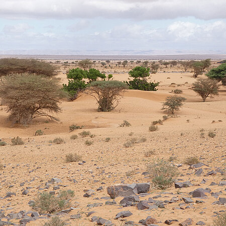 Die Sahara in Marokko