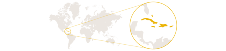 Distribution