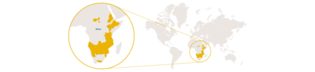 Distribution