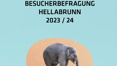 Imagebild Umfrage