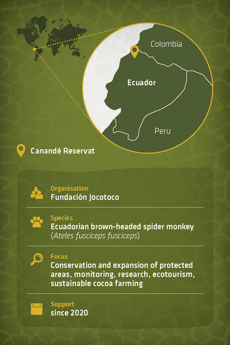 profile project Fundación Jocotoco 