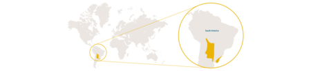 Distribution