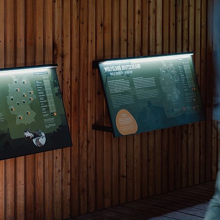 Eine Wand mit hellen Holzlamellen, an denen zwei grüne und von Oben beleuchtete Infotafeln zum Wolf hängen.