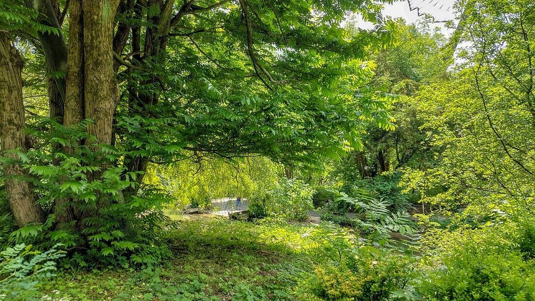 Voliere im Tierpark Hellabrunn 
