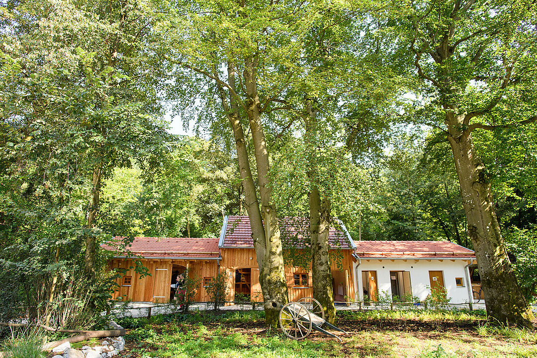 The fish hatchery in the mill village