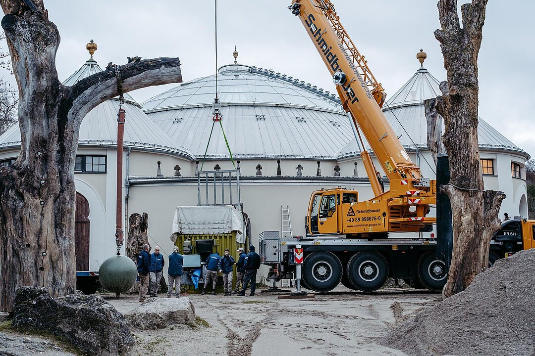 Der Spezialtransporter angedockt an das Elefantenhaus in Hellabrunn.