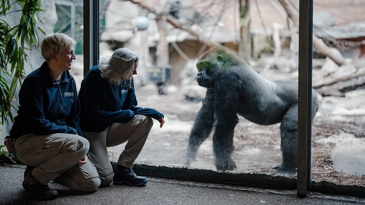 Tierärzte im Urwaldhaus im Tierpark Hellabrunn